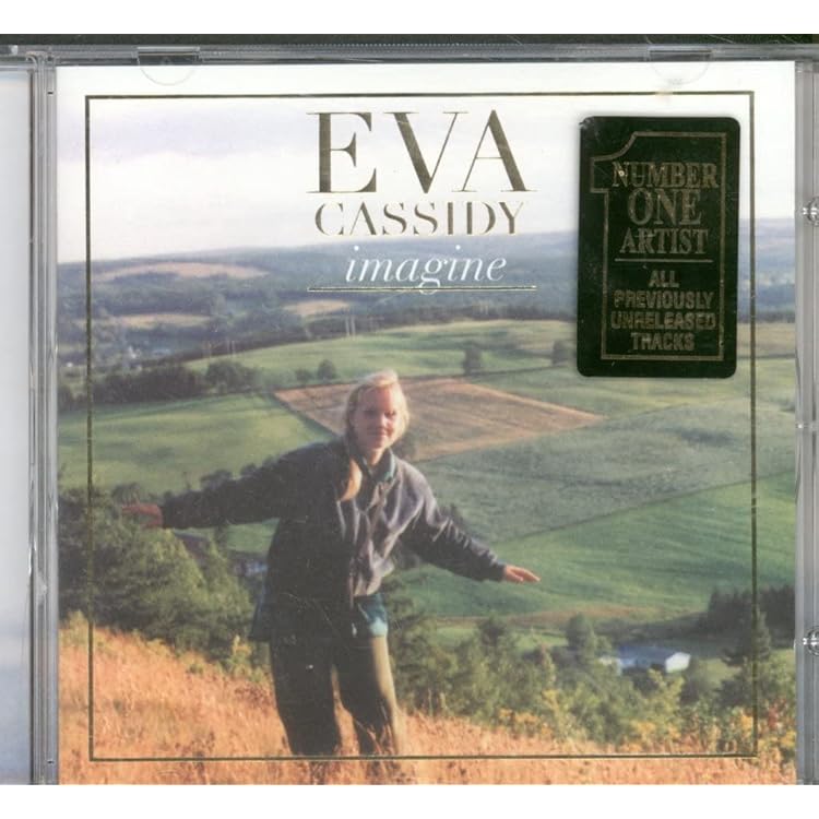 Amazon.co.jp: Live at Blues Alley: ミュージック